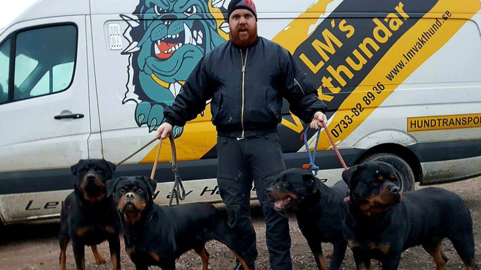 4 Rottweilerhundar med ägare & tränare